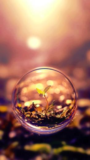 Beautiful Image Wallpaper Photo Pictures HD For Mobile
