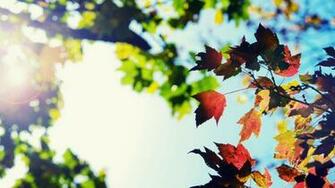 Autumn Weather Forecast HD Wallpaper Widescreen