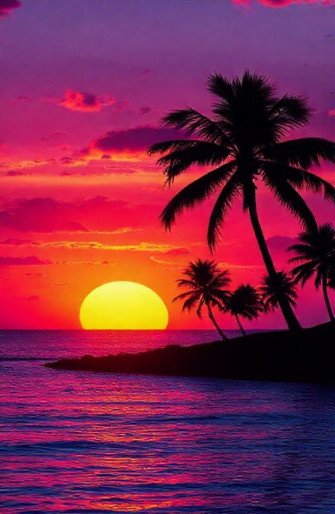 Summer Sunset Wallpaper