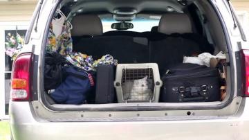 Hurricane Evacuations And Pets What You Need To Know Videos