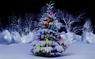 Beautiful Outdoor Christmas Tree Hintergrundbilder HD