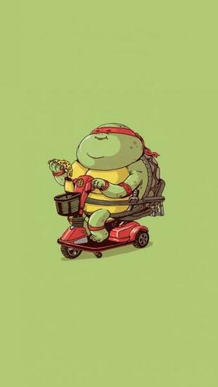Cute Turtle iPhone Wallpaper
