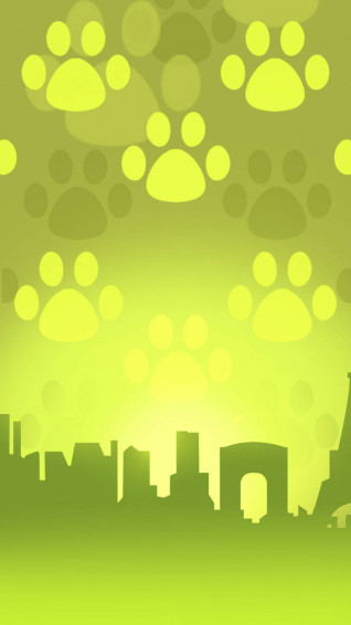 Cat Noir Wallpaper