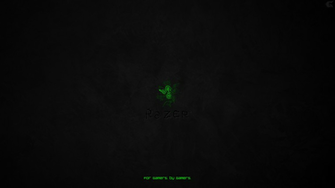 Razer Desktop Background