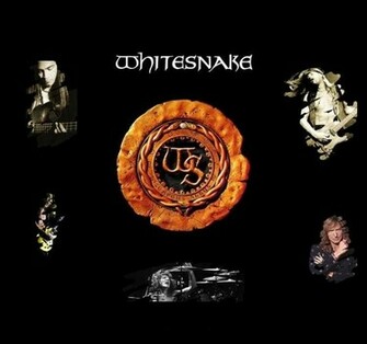 Wallpaper Whitesnake Made By Darky