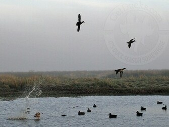 Duck Hunting Wallpaper Unique Uruguay
