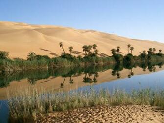 Posted In Desert Desktop Field HD Nature Oasis Tema Wallpaper