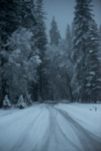 Winter Background Pictures Image