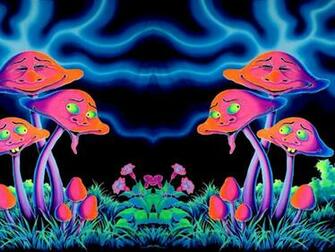 Psychedelic Mushroom