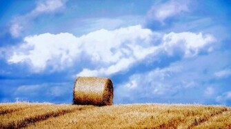 HD Widescreen Desktop Wallpaper Computer Background