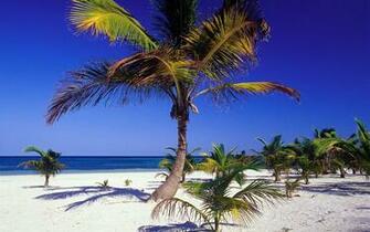 To Wallpaper Just Right Click On Pictures And Select Save