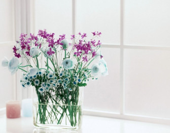 Beautiful Flower Wallpaper For You