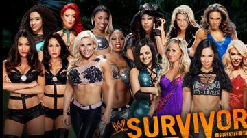 Total Divas Survivor Series Wallpaper Teahub Io