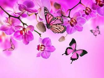 S Favourites Gigetta72 Wallpaper4me Animals