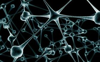 Cell Biology 3d Photo On The Desktop Pictures