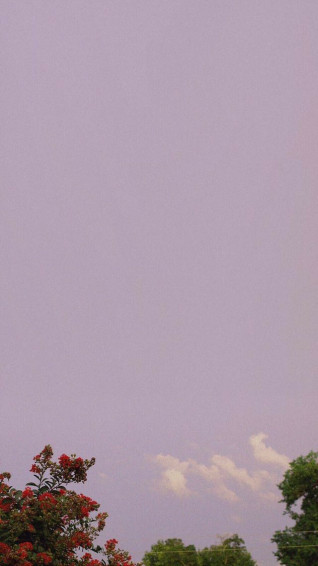 iPhone Wallpaper Aesthetic