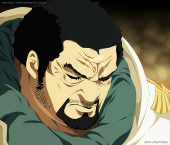 Isho Fujitora By Senjukatashi
