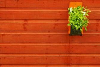 Nice Picture Background On