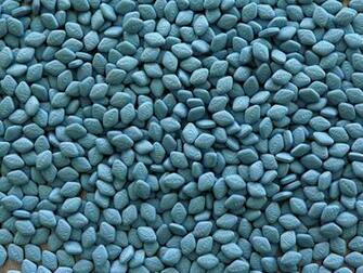 Viagra Pharmaceutical Company