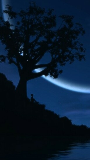 High Definition Mobile Phone Wallpaper HD Silhouette Jpg