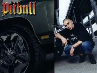 Pitbull Rapper Celebrities Corner