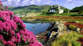 Lovely Pink Flowers Wallpaper