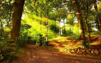 3d Abstract Widewallpaper Autumn HD Paisajes Wallpaper