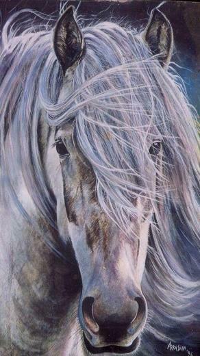 iPhone Horse Wallpaper