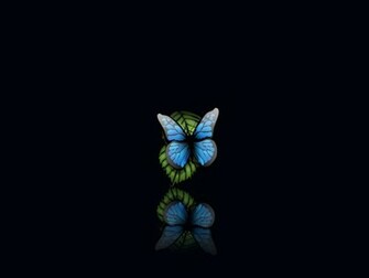 Free download Black Butterflies Background Over black background