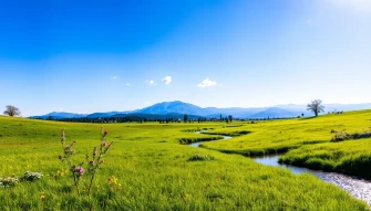 Nature Wallpaper