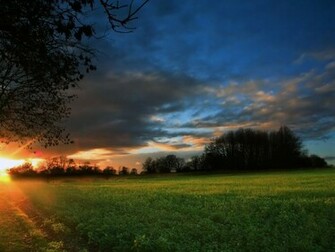 Cool Nature Wallpaper