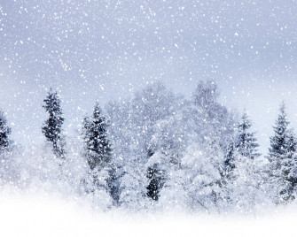Snow Wallpaper