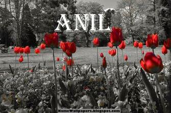 May Name Wallpaper Urdu Meaning Image Logo Signature