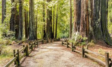 Santa Cruz Mountains Vacation Rentals Homes California United