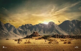 Wildlife Wallpaper HD