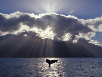 Discovery Channel Wallpaper