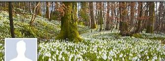 Wallpaper Spring Cover Photo