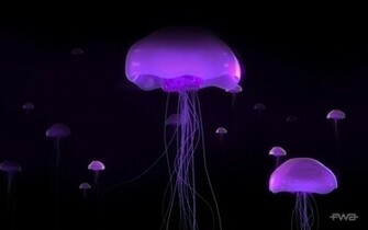 Vpinfobr Wallpaper Guas Vivas Psy