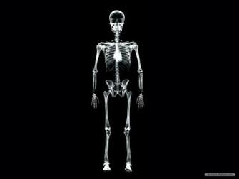 Wallpaper Art X Ray