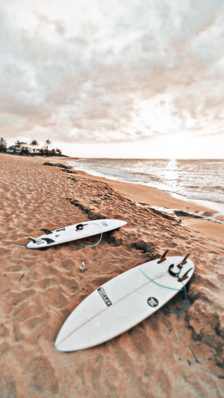 Sunrise Surfing Wallpaper Photography
