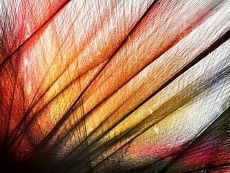 Screen Background Vague Dream By Otaku Chan