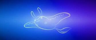 Wallpaper Swim Pokemon Mantine Dual Wide
