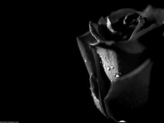 Dark Widescreen Wallpaper High Quality Black