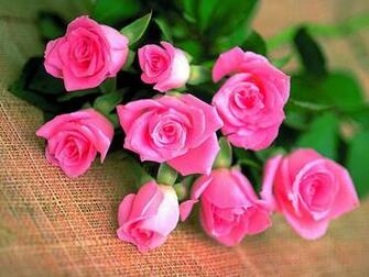 The Rose Of Love Roses Wallpaper