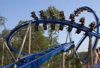 Wild Eagle Pictures Coasterimage