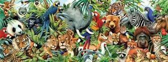 Jungle Animals Real Life Wallpaper Desktop