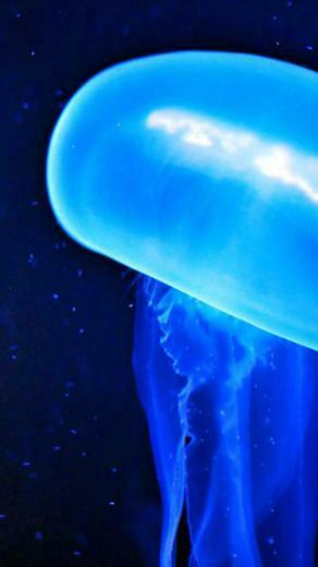 Ios7 Blue And Moving Parallax HD iPhone iPad Wallpaper