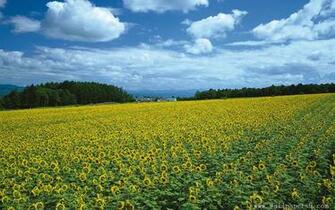For Late Summer Landscape Desktop Background Car Pictures