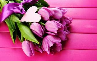 Purple Tulips Flower Macro Wallpaper High Reso