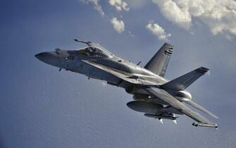 Douglas F A Hornet Computer Wallpaper Desktop Background